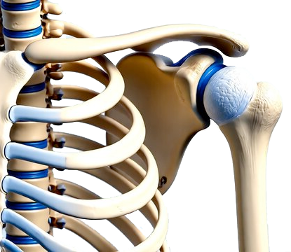 Test articol cu video